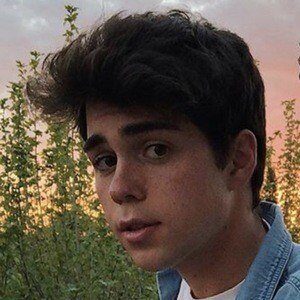 Benji Krol contact information